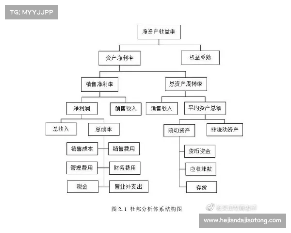 隐匿洞穴行动的关键要素及成功保障策略分析 隐匿洞穴行动的关键要素及成功保障策略分析