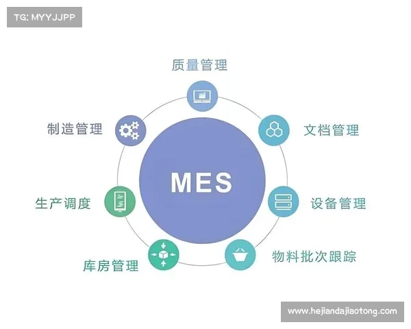 揭示强化系统成功的四大关键因素助力全面提升效率与效果