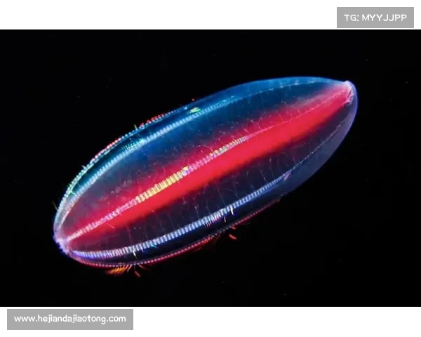揭开神秘生物与远古传说面纱探索未知世界的五大奇异真相 揭开神秘生物与远古传说面纱探索未知世界的五大奇异真相